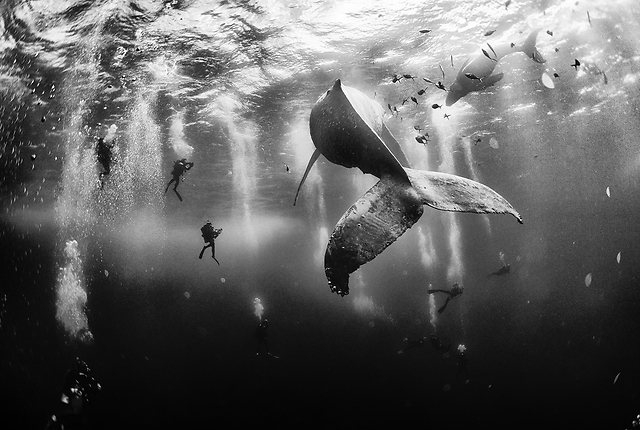  (Anuar Patjane Floriuk / National Geographic Traveler Photo Contest)