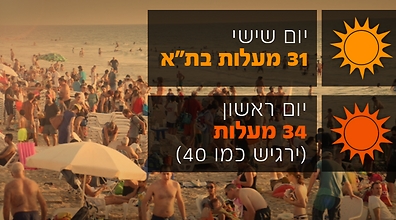 צילום: מוטי קמחי