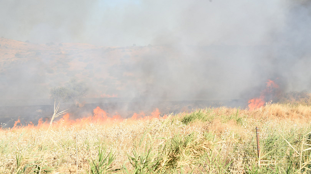 Brush fire caused by explosion (Photo: Avihu Shapira)
