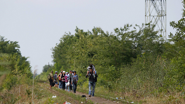 מהגרים בגבול הונגריה-סרביה (צילום: רויטרס) (צילום: רויטרס)