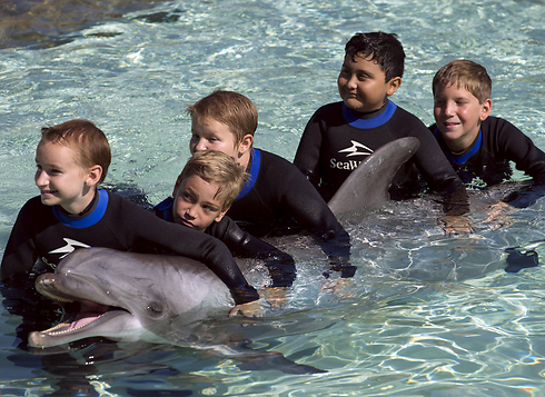 ילדים חולים שוחים עם דולפין ב"עולם המים" בסן דייגו (צילום: רויטרס) (צילום: רויטרס)