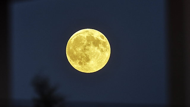 בלילות של ירח מלא (צילום: EPA) (צילום: EPA)