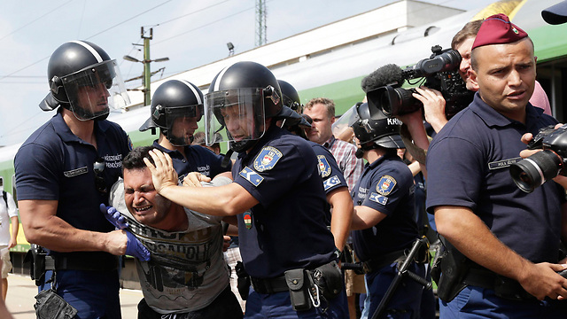 שוטרים מתעמתים עם פליטים בהונגריה (צילום: AP) (צילום: AP)