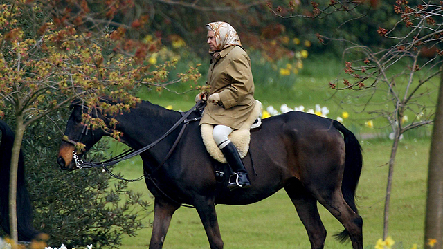המלכה על הסוס באחוזה, עשור לאחר מכן (צילום: רויטרס) (צילום: רויטרס)