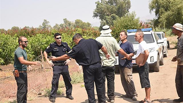 המשטרה הוזעקה אתמול לגולן (צילום: ארגון הדבוראים בישראל) (צילום: ארגון הדבוראים בישראל)