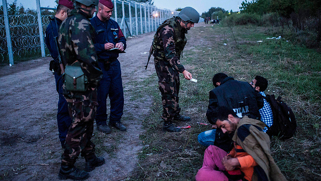 משטרת הונגריה עוצרת מהגרים שניסו לחצות את הגבול (צילום: EPA) (צילום: EPA)