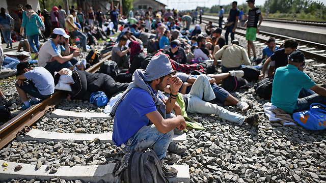 מהגרים בגבול הונגריה-קרואטיה (צילום: gettyimages) (צילום: gettyimages)