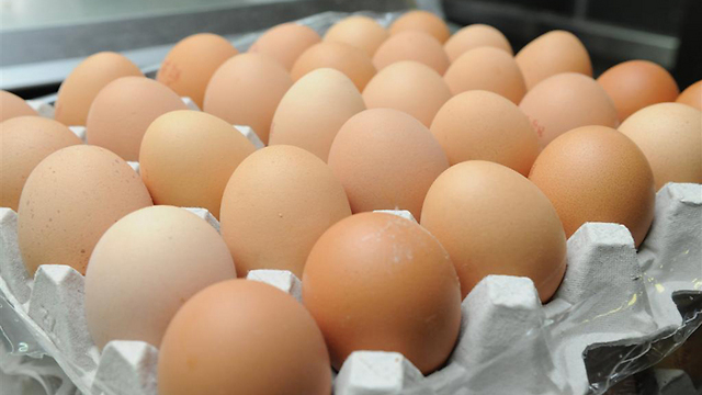 תבנית ביצים: מחירה מפוקח על-ידי המדינה. מותר למכור בפחות ממחיר המקסימום אך אסור לעבור אותו (צילום: ירון ברנר) (צילום: ירון ברנר)