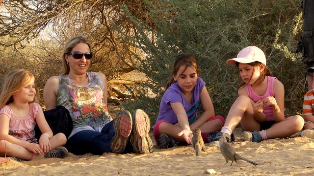 מבקרים בסיור זנבנים בחצבה- לראות אותם, להבין את עצמנו טוב יותר (צילום: ארנון דטנר) (צילום: ארנון דטנר)