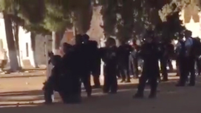 Police forces on the Temple Mount. (Photo: qpress)
