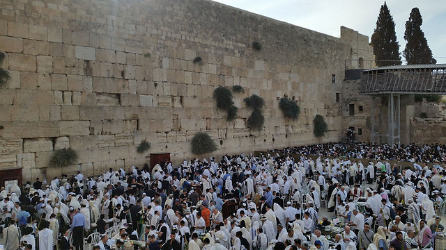 Priestly blessing at the Western Wall ((Photo: Eli Mandlebaum)