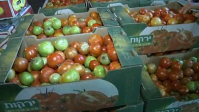 "חום כזה לא היה כבר 70 שנה". העגבניות בשוק הסיטונאי בצריפין (צילום: אבי חי) (צילום: אבי חי)