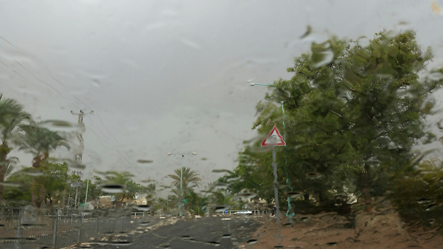 גשום גם בבאר שבע (צילום: הרצל יוסף) (צילום: הרצל יוסף)