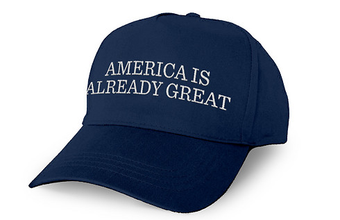 הכובע הדמוקרטי (צילום: אתר המפלגה הדמוקרטית) (צילום: אתר המפלגה הדמוקרטית)