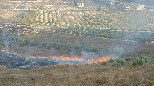 הצתת מטע הזיתים של הפלסטינים (צילום: זכריא סדה) (צילום: זכריא סדה)