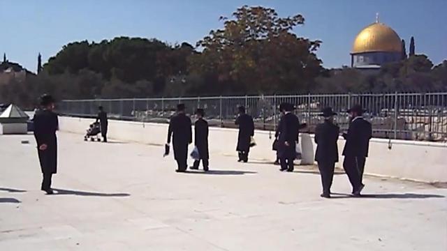 Jews on their way to the Temple Mount (Photo: Tnuot Hamikdash)