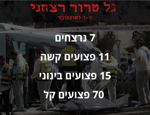 מספר הנרצחים והפצועים מאז החל גל הטרור (צילום: AFP) (צילום: AFP)