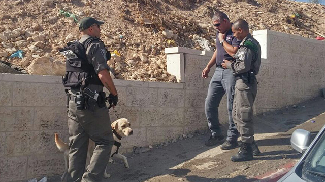Security forces and the dog (Photo: Israel Police)