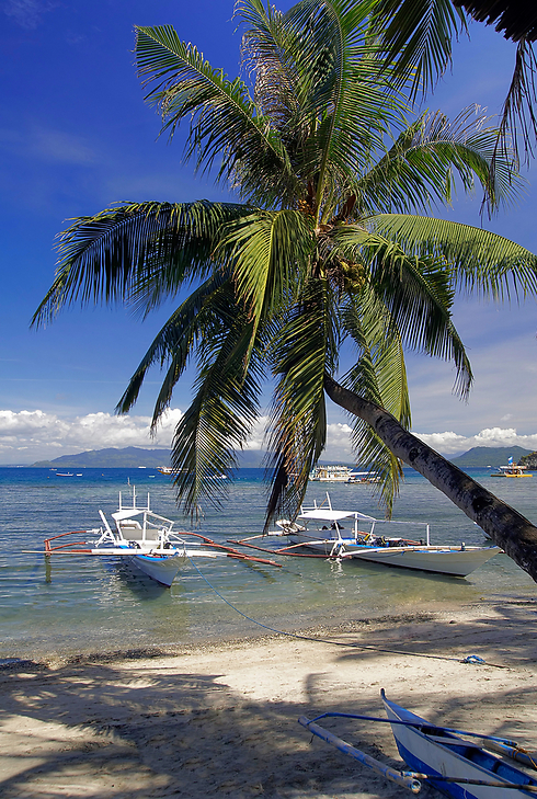 האי המומלץ בפיליפינים: פוארטה גלרה (צילום: shutterstock) (צילום: shutterstock)
