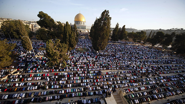 רק לתפילת מוסלמים (צילום: AP) (צילום: AP)