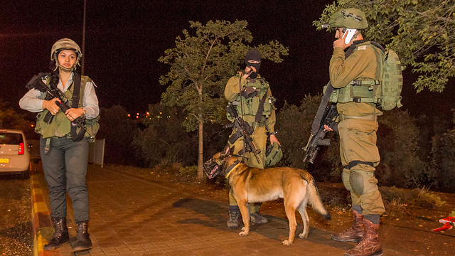 Scene of the stabbing attack in Ariel Junction, 2015 (Photo: Ido Erez)