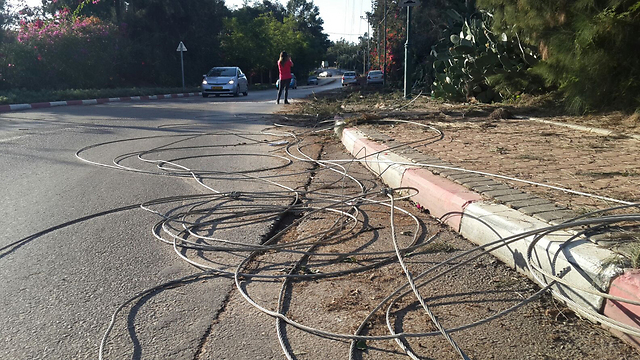 Downed power lines (Photo: Raanan Ben Tzur)