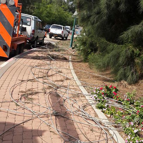 Downed power lines (Photo: Assaf Kamar)