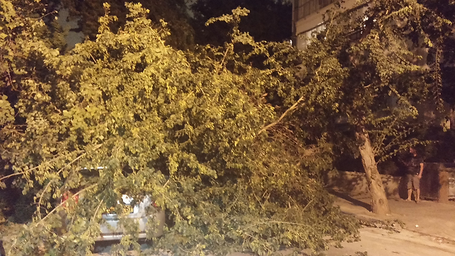 נזקי הסופה ברחוב סוקולוב בתל אביב ()