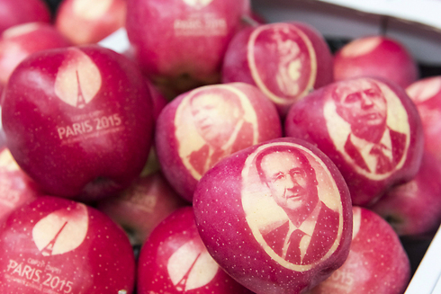 תפוחים עם דיוקנאות, כולל של נשיא צרפת פרנסואה הולנד, שיינתנו לבאי ועידת האקלים בפריז (צילום: AFP) (צילום: AFP)