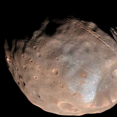 פובוס והחריצים - לא סימן טוב (צילום:  NASA/JPL-Caltech/University of Arizona) (צילום:  NASA/JPL-Caltech/University of Arizona)