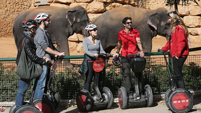 הרוכבים והפייבוריטים של גן החיות (צילום: אלכס קולומויסקי) (צילום: אלכס קולומויסקי)