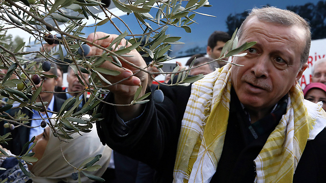 An olive branch? Turkish President Recep Tayyip Erdogan (Photo: AP)