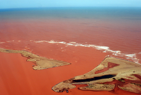 רעלים הציפו אזור שבו נפרץ סכר בברזיל (צילום: AFP) (צילום: AFP)