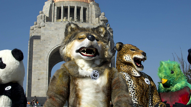 מכסיקו סיטי, מכסיקו (צילום: AFP) (צילום: AFP)