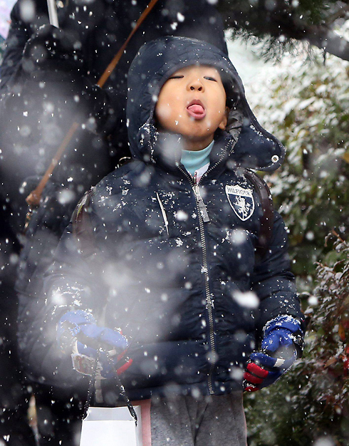 פתיתי שלג צונחים בדאג'און, דרום קוריאה (צילום: EPA) (צילום: EPA)