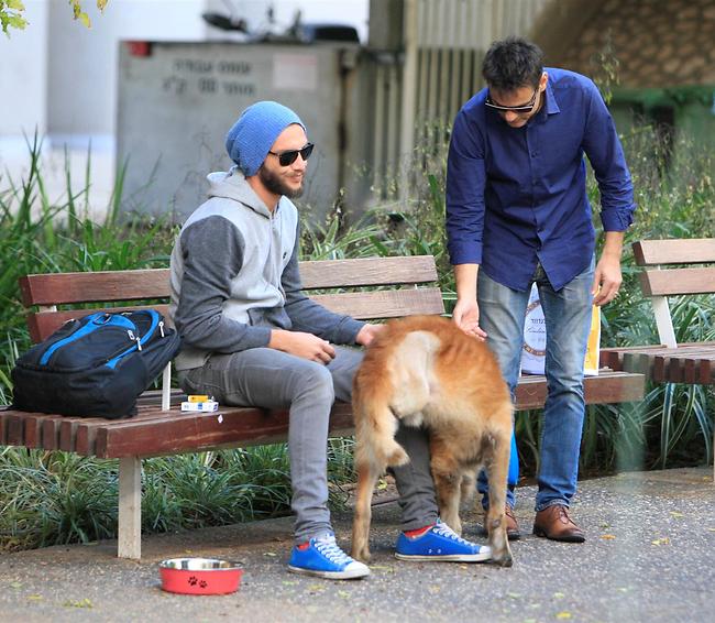 היא לא תנשך אותי? (צילום: מוטי לבטון)