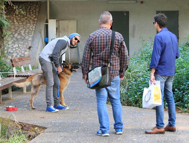נו, עוז בוא כבר! (צילום: מוטי לבטון)