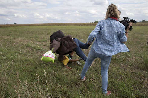 פטרה לאסלו, הצלמת ההונגרייה שזכתה בעקבות התמונה הזו לכינוי "האישה השנואה בעולם", שולחת רגל ומכשילה פליט סורי הנושא על ידיו את בנו הקטן (צילום: רויטרס) (צילום: רויטרס)