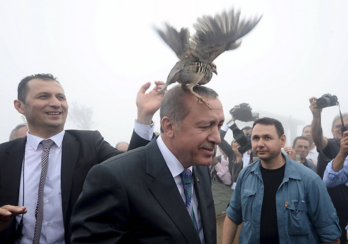 ציפור תוקפת את נשיא טורקיה, רג'פ טאיפ ארדואן (צילום: רויטרס) (צילום: רויטרס)