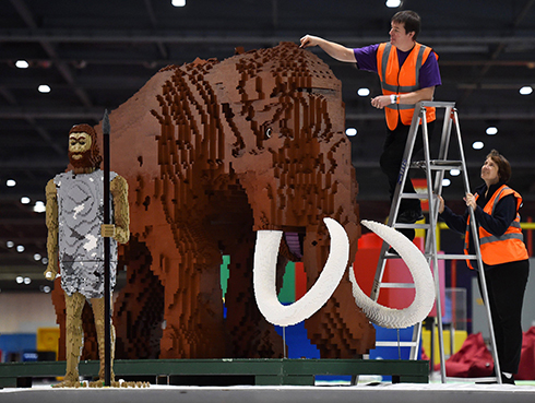 עובדים מסיימים להרכיב דגם מלגו של ממותה בתערוכת לגו גדולה בלונדון שבה יכולים המבקרים לצפות במוצגים רבים ולשחק עם יותר מ-3 מיליון חתיכות לגו (צילום: AFP) (צילום: AFP)