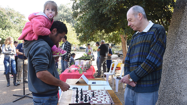 שחמט בקיבוץ עמיר  (צילום: אביהו שפירא) (צילום: אביהו שפירא)