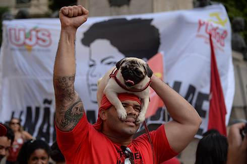 גם ההולכים על ארבע מוחים. הפגנה בריו דה ז'ניירו נגד הליך ההדחה נגד הנשיאה דילמה רוסף (צילום: AFP) (צילום: AFP)