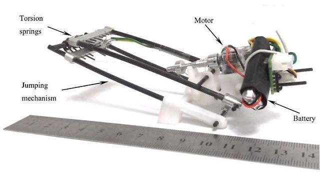 הרובוט TAUB - שילוב של קפיצים ומנוע, ממש כמו החגב  (צילום: פרופ' אמיר אילי) (צילום: פרופ' אמיר אילי)