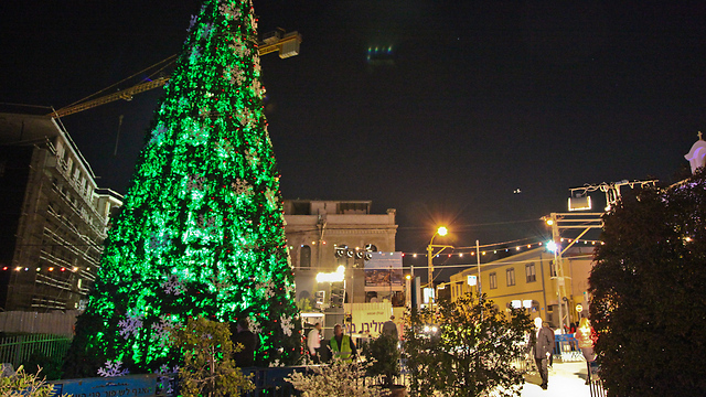 עץ האשוח הכי גבוה בעיר הוצב ביפו (צילום: עיריית תל אביב יפו) (צילום: עיריית תל אביב יפו)