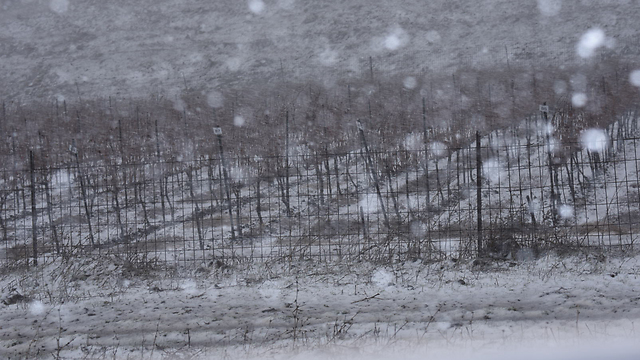 Snowy fields in the Golan Heights (Photo: Avihu Shapira)