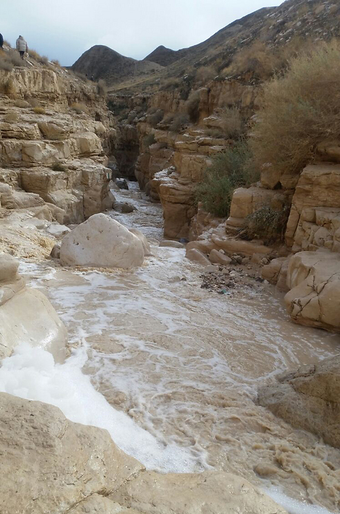 שיטפונות במדבר יהודה (צילום: "בית ספר שדה כפר עציון"  ) (צילום: 