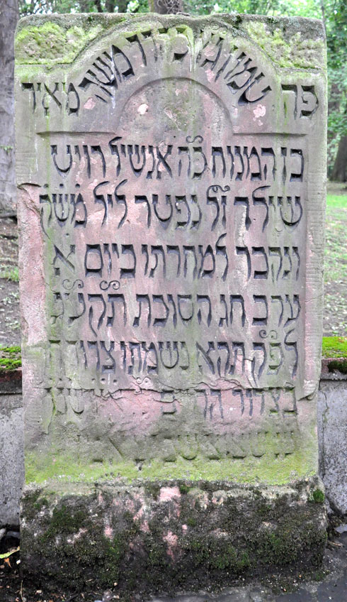 קברו של מאיר אמשל רוטשילד בפרנקפורט. "הפך את המשפחה שלו לאימפריה בינלאומית" (צילום: Genealogist, cc)