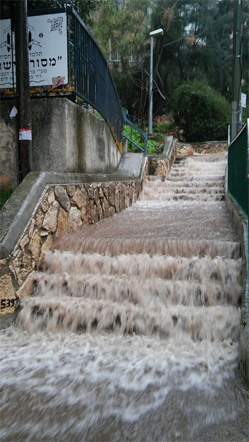 Floods in Haifa (Photo: Nahum Liebermann) (Photo: Nahum Liebermann)
