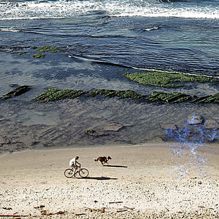 חוף הים הנשקף מהצוק בגן העצמאות למרגלות מלון הילטון | צילום: עמינדב (עמי) ברנשטיין