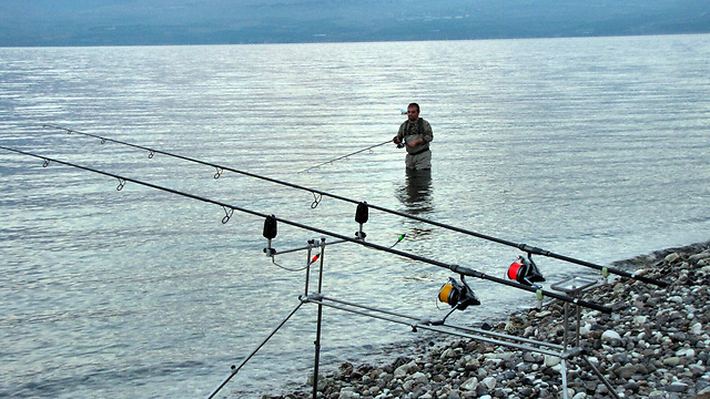 אליפות דיג הקרפיונים הבינ"ל בכינרת (צילום: אנדריי מזליין) (צילום: אנדריי מזליין)